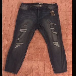 Plus Size Skinny Jeans